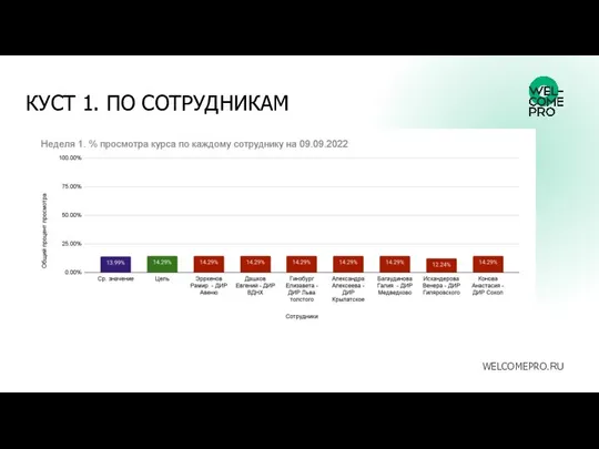 КУСТ 1. ПО СОТРУДНИКАМ WELCOMEPRO.RU