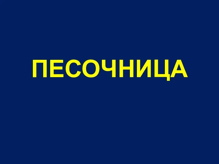 ПЕСОЧНИЦА