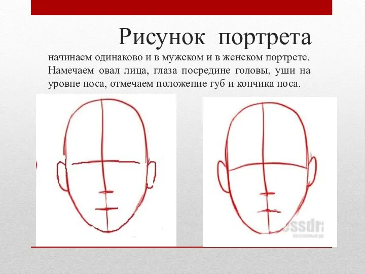 Рисунок портрета начинаем одинаково и в мужском и в женском портрете.