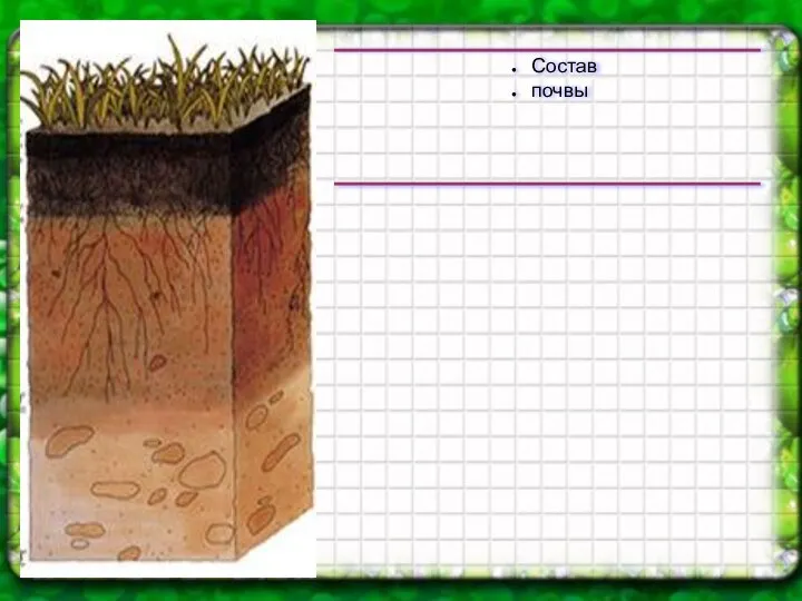 Состав почвы