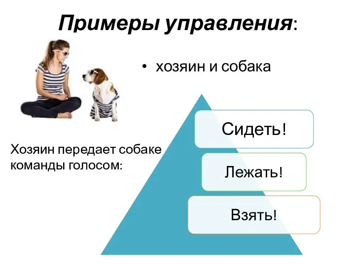Примеры управления: хозяин и собака Хозяин передает собаке команды голосом: