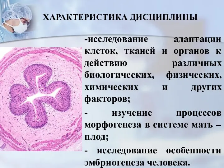 ХАРАКТЕРИСТИКА ДИСЦИПЛИНЫ -исследование адаптации клеток, тканей и органов к действию различных