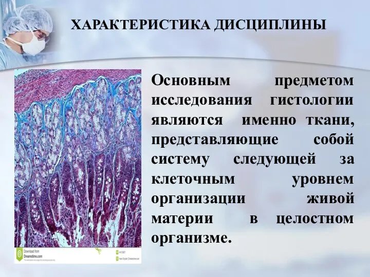 Основным предметом исследования гистологии являются именно ткани, представляющие собой систему следующей