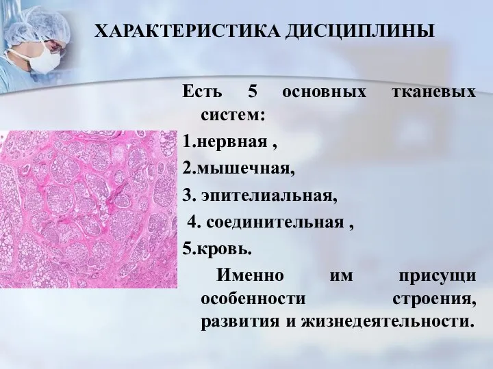 Есть 5 основных тканевых систем: 1.нервная , 2.мышечная, 3. эпителиальная, 4.