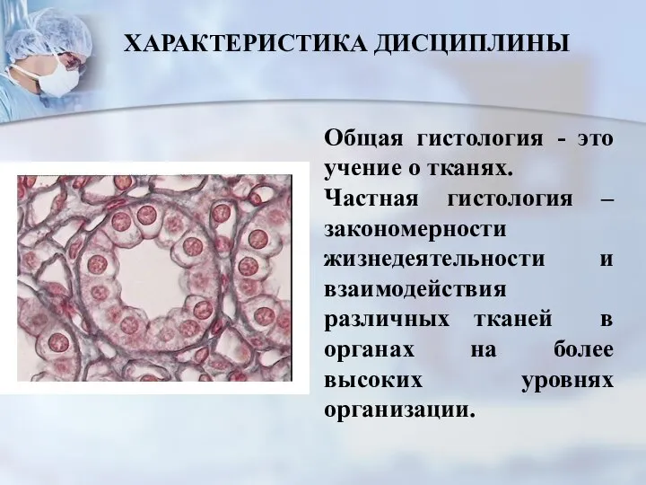 Общая гистология - это учение о тканях. Частная гистология – закономерности