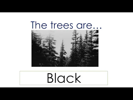 The trees are… Black