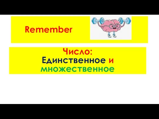 Remember Число: Единственное и множественное