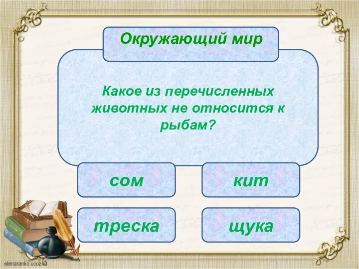 Какое из перечисленных животных не относится к рыбам? сом треска щука кит Окружающий мир