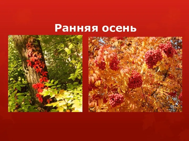 Ранняя осень