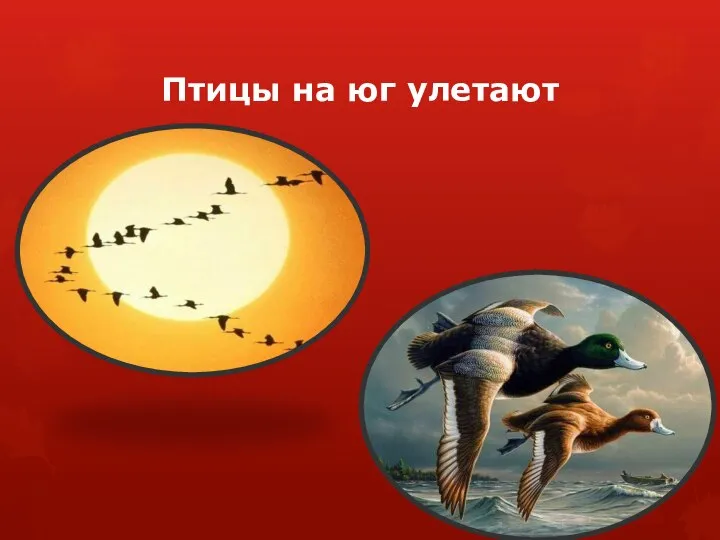 Птицы на юг улетают