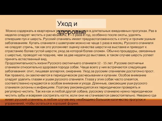 Уход и здоровье Можно содержать в квартирных условиях, нуждается в длительных