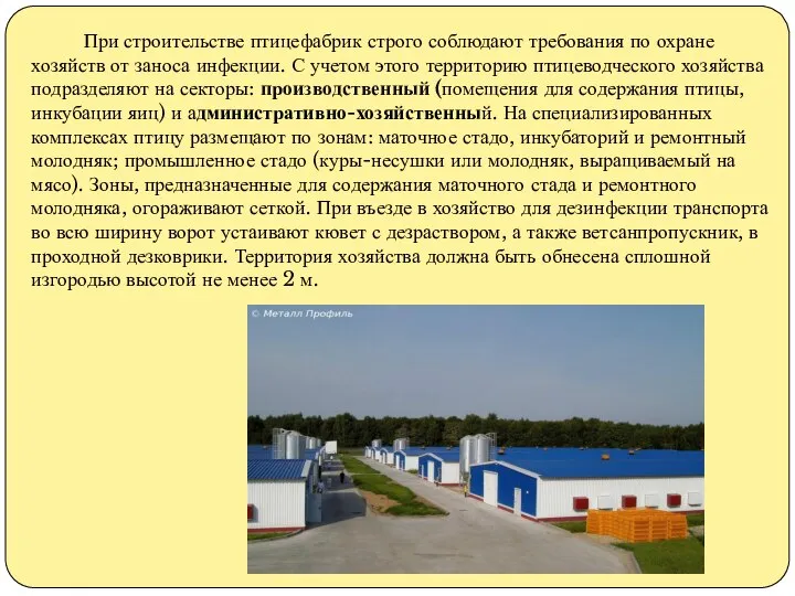 При строительстве птицефабрик строго соблюдают требования по охране хозяйств от заноса