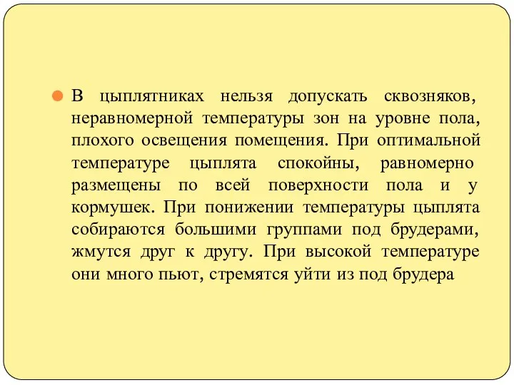 В цыплятниках нельзя допускать сквозняков, неравномерной температуры зон на уровне пола,