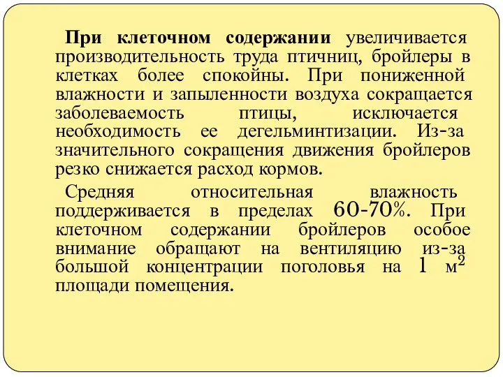 При клеточном содержании увеличивается производительность труда птичниц, бройлеры в клетках более