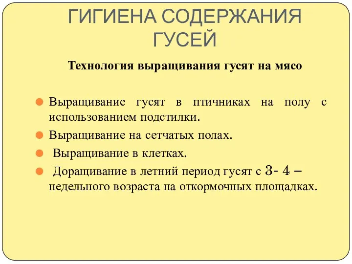 ГИГИЕНА СОДЕРЖАНИЯ ГУСЕЙ Технология выращивания гусят на мясо Выращивание гусят в