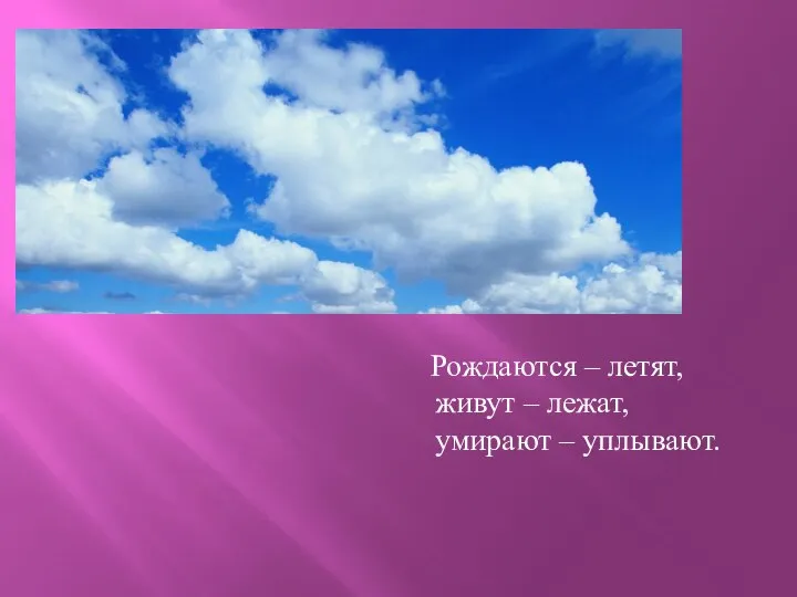 Рождаются – летят, живут – лежат, умирают – уплывают.