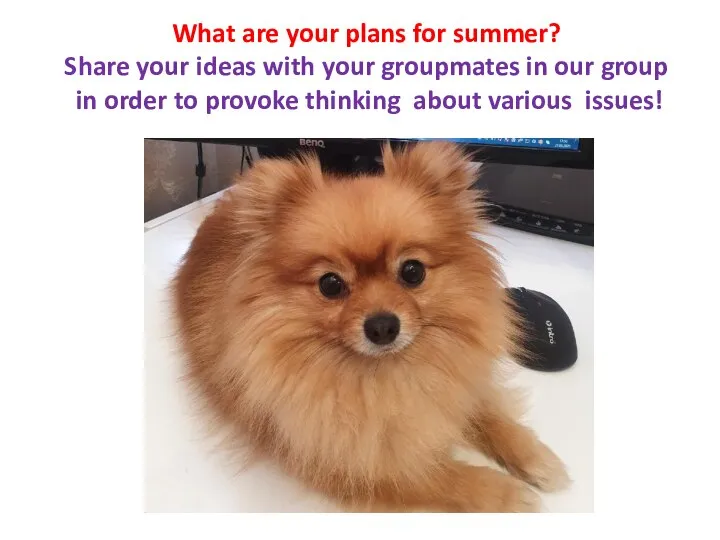 What are your plans for summer? Share your ideas with your