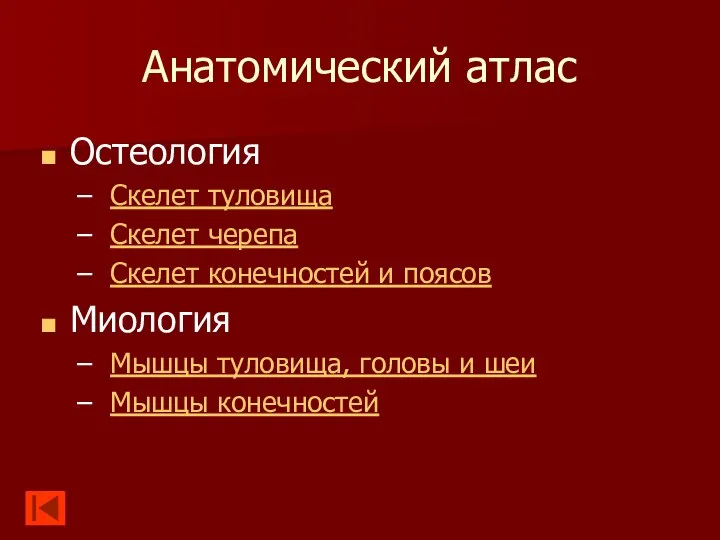 Анатомический атлас Остеология Скелет туловища Скелет черепа Скелет конечностей и поясов