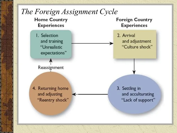 The Foreign Assignment Cycle