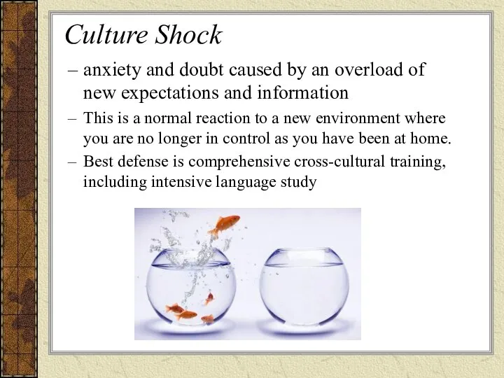 Culture Shock anxiety and doubt caused by an overload of new
