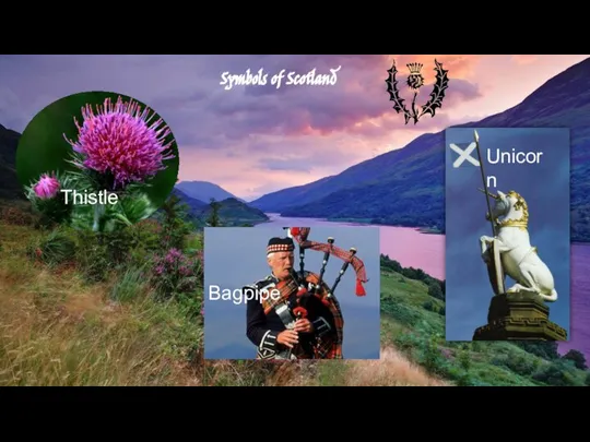 Symbols of Scotland Thistle Bagpipe Unicorn