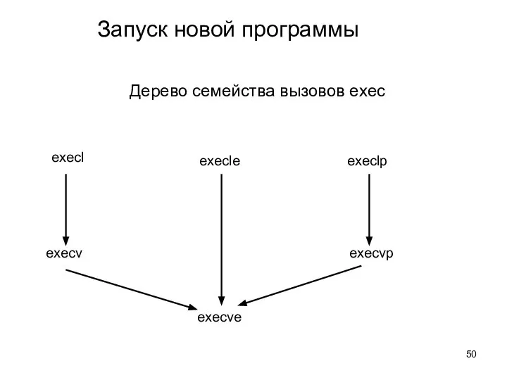 Запуск новой программы Дерево семейства вызовов exec execl execle execlp execv execve execvp