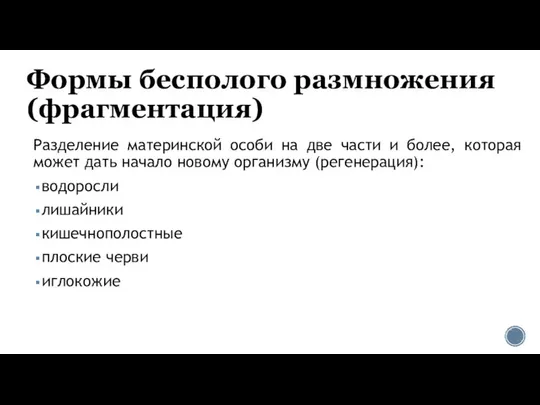 Формы бесполого размножения (фрагментация) Разделение материнской особи на две части и