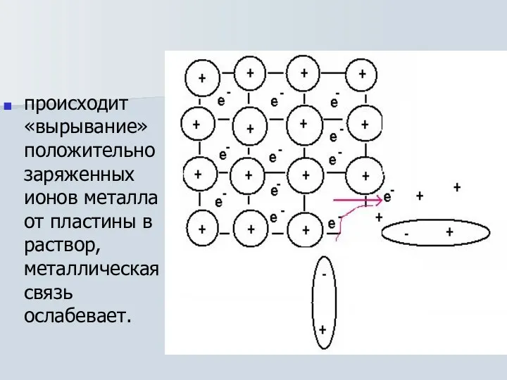 происходит «вырывание» положительно заряженных ионов металла от пластины в раствор, металлическая связь ослабевает.