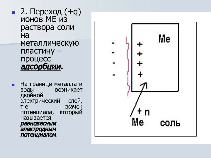 2. Переход (+q) ионов МЕ из раствора соли на металлическую пластину