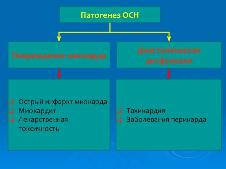 Патогенез ОСН Повреждение миокарда Диастолическая дисфункция Острый инфаркт миокарда Миокардит Лекарственная токсичность Тахикардия Заболевания перикарда