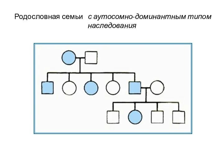 Родословная семьи с аутосомно-доминантным типом наследования