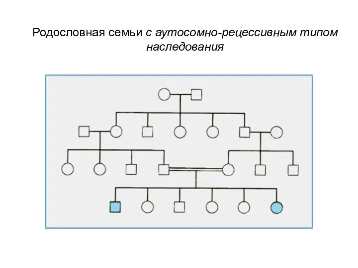 Родословная семьи с аутосомно-рецессивным типом наследования