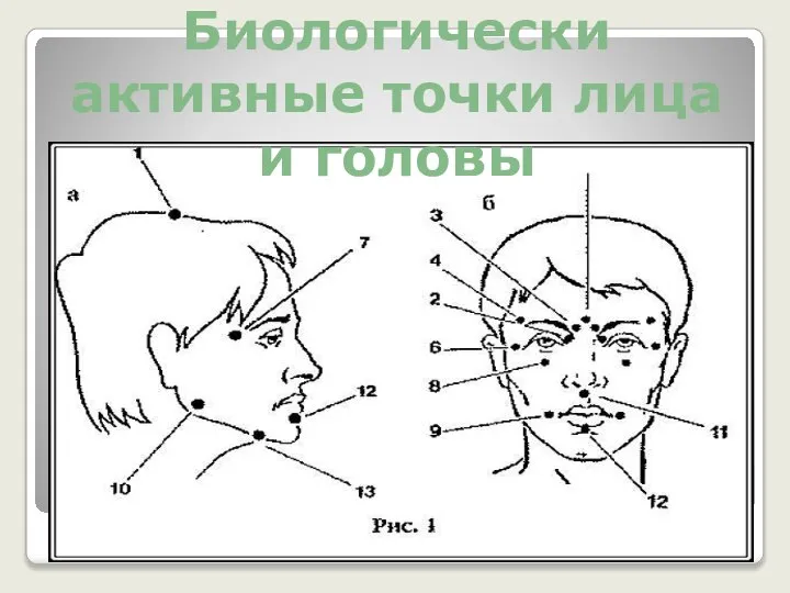 Биологически активные точки лица и головы