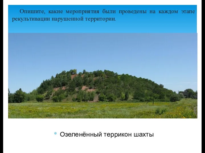 Озеленённый террикон шахты Опишите, какие мероприятия были проведены на каждом этапе рекультивации нарушенной территории.