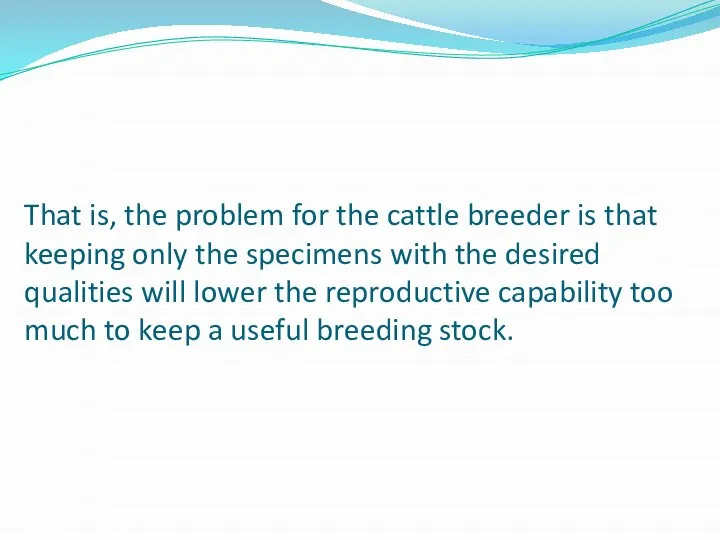 That is, the problem for the cattle breeder is that keeping