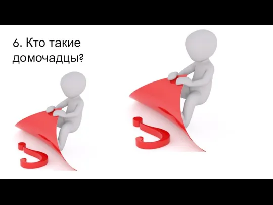 6. Кто такие домочадцы?