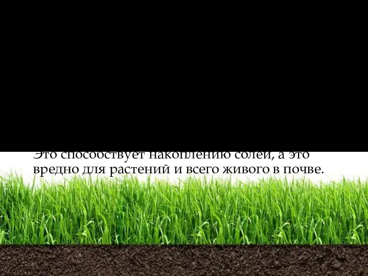 Чтобы защитить почву на полях, необходимо сажать полезащитные лесные полосы, а