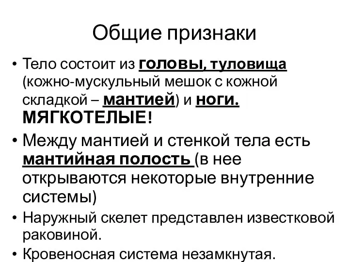 Общие признаки Тело состоит из головы, туловища (кожно-мускульный мешок с кожной