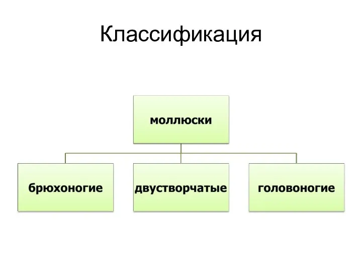 Классификация