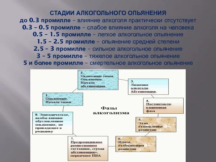 СТАДИИ АЛКОГОЛЬНОГО ОПЬЯНЕНИЯ до 0.3 промилле – влияние алкоголя практически отсутствует