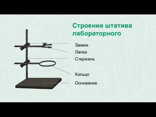 Строение штатива лабораторного Лапка Стержень Кольцо Основание Зажим