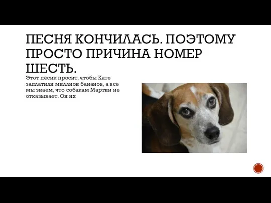 ПЕСНЯ КОНЧИЛАСЬ. ПОЭТОМУ ПРОСТО ПРИЧИНА НОМЕР ШЕСТЬ. Этот пёсик просит, чтобы