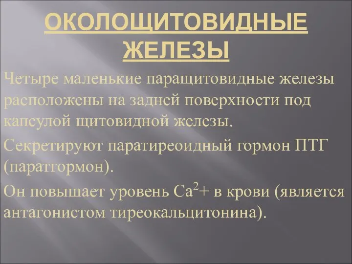 ОКОЛОЩИТОВИДНЫЕ ЖЕЛЕЗЫ Четыре маленькие паращитовидные железы расположены на задней поверхности под