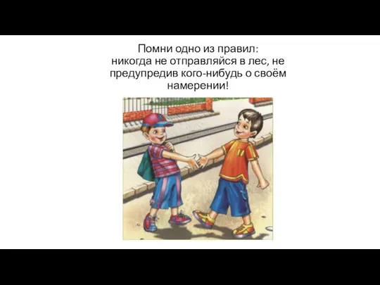 Помни одно из правил: никогда не отправляйся в лес, не предупредив кого-нибудь о своём намерении!