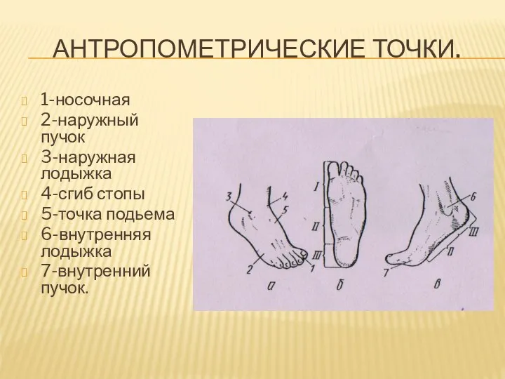 АНТРОПОМЕТРИЧЕСКИЕ ТОЧКИ. 1-носочная 2-наружный пучок 3-наружная лодыжка 4-сгиб стопы 5-точка подьема 6-внутренняя лодыжка 7-внутренний пучок.