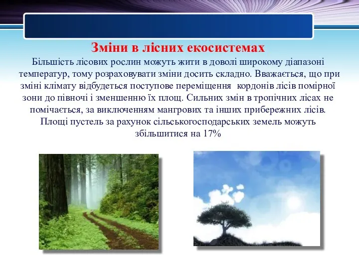 Зміни в лісних екосистемах Більшість лісових рослин можуть жити в доволі