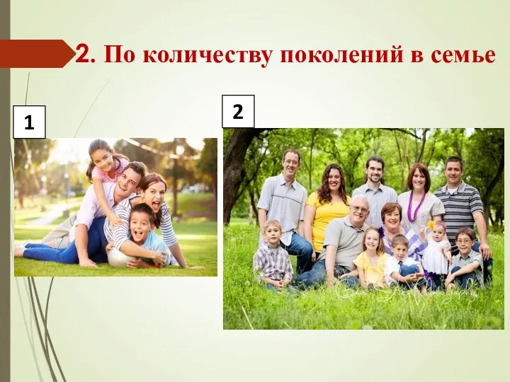 2. По количеству поколений в семье 1 2