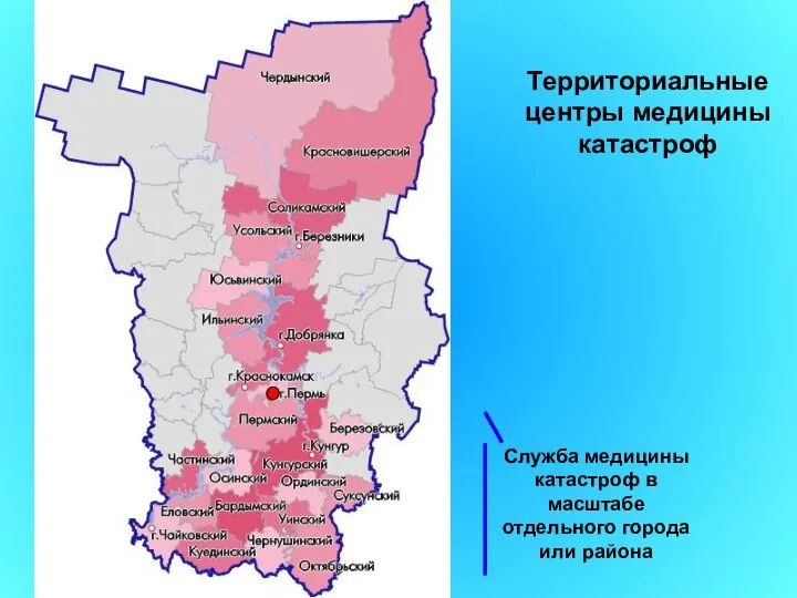 Территориальные центры медицины катастроф Служба медицины катастроф в масштабе отдельного города или района