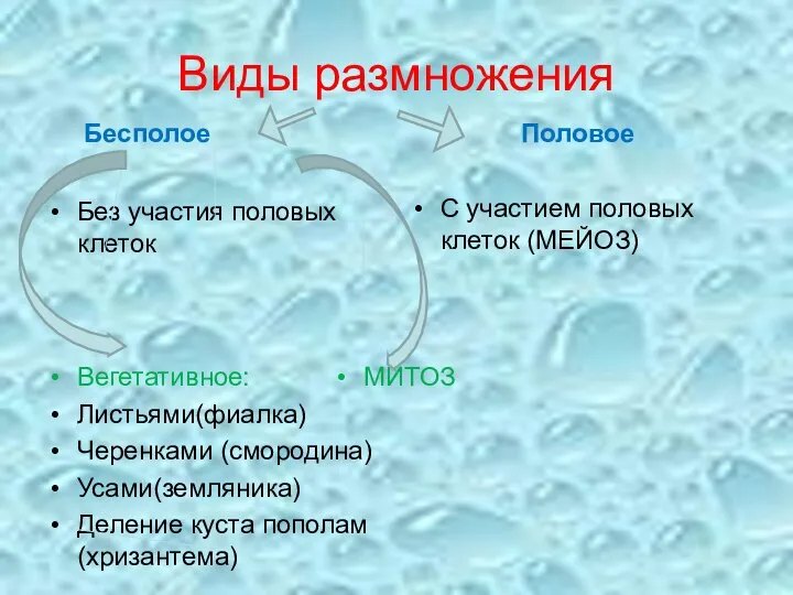 Виды размножения Бесполое Без участия половых клеток Половое С участием половых