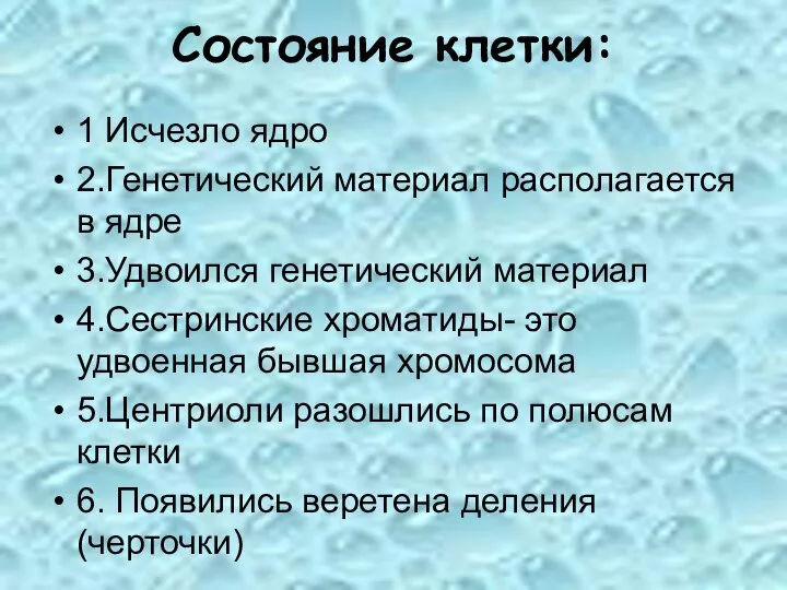 Состояние клетки: 1 Исчезло ядро 2.Генетический материал располагается в ядре 3.Удвоился